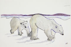 cw-polar-bears