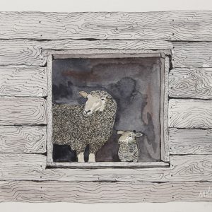 Ewe & Lamb in Barn