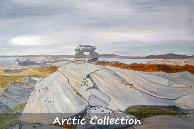 Arctic collection