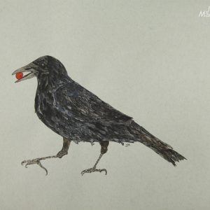 Strutting Crow