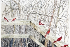 Cardinals-in-Winter