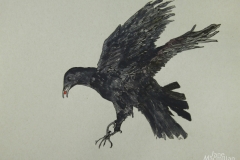 Flying-Crow