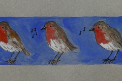 Robins-singing