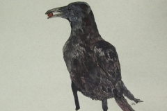 Standing-Crow