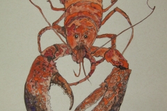 W-Lobster