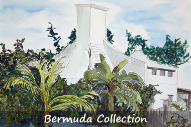 Bermuda collection